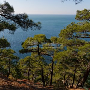 Галерея Авторская экскурсия к скале «Парус» #0