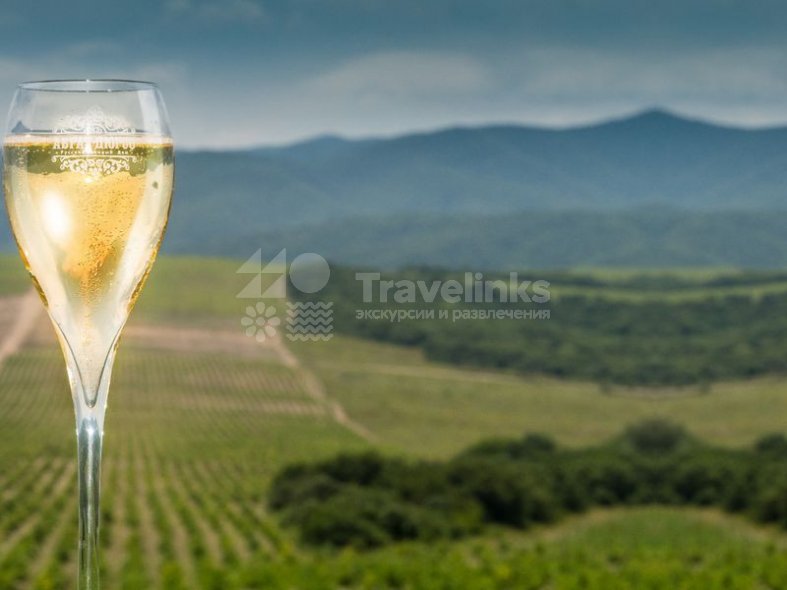 Галерея Авторская VIP-экскурсия в «Абрау-Дюрсо» #0