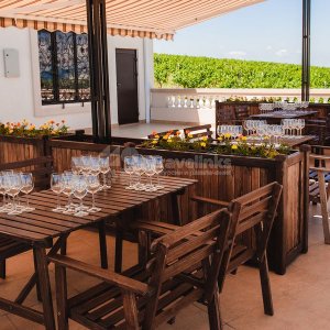 Галерея Авторская VIP-экскурсия в «Шато Пино» #2