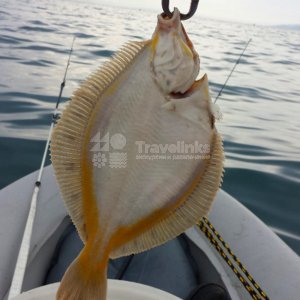 VIP-рыбалка в Анапе