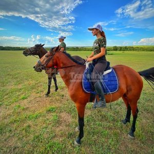 Галерея Конные прогулки в Фадеево #0