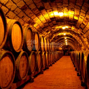 Галерея Вечерний Абрау-Дюрсо #3