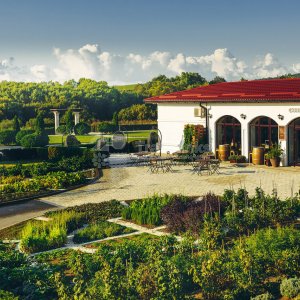 Тур в Лефкадию