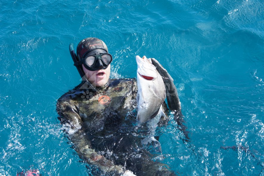 Галерея Подводная охота #3