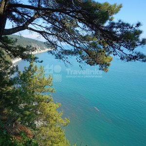 Галерея Бетта #2