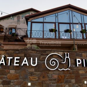Авторская экскурсия в Шато Пино