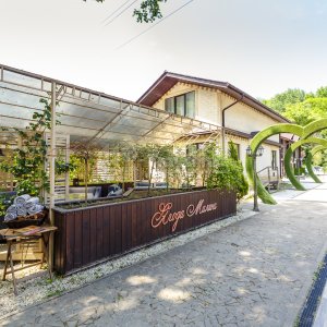 Ягода Малина