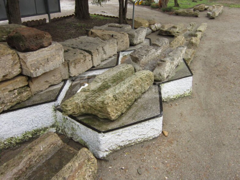 Галерея Горгиппия #1