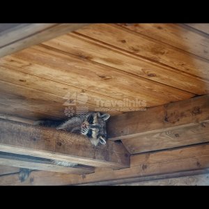 Галерея Сафари-парк Геленджик #0