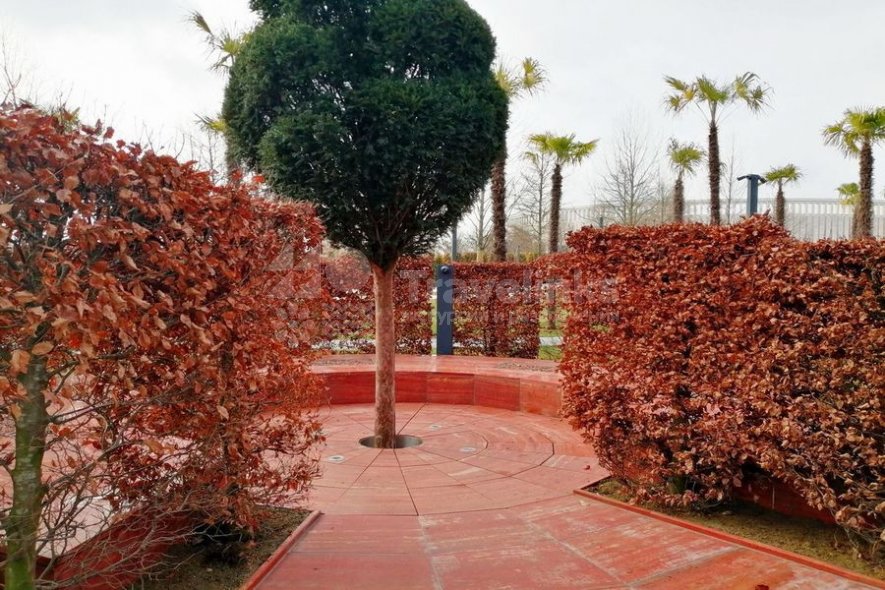 Галерея Краснодар и парк Галицкого #3