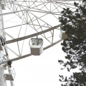 Галерея Детский парк «Джунгли» #2