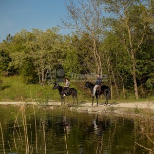 Галерея Прогулка на лошадях к озеру  (1 час) #3