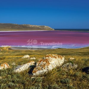 Галерея Авторский тур в Керчь + Розовое озеро + Генеральские пляжи #4