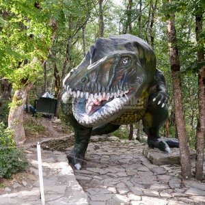 Галерея Геленджик и сафари-парк #1