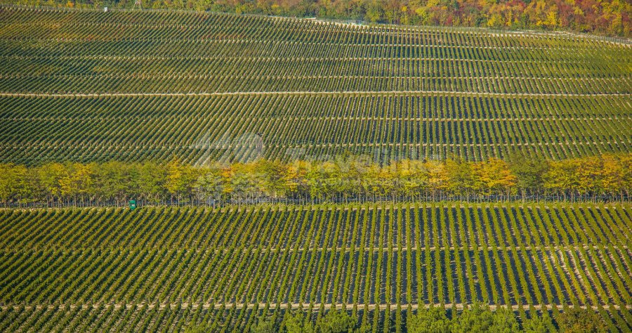 Галерея Шато де Талю #1