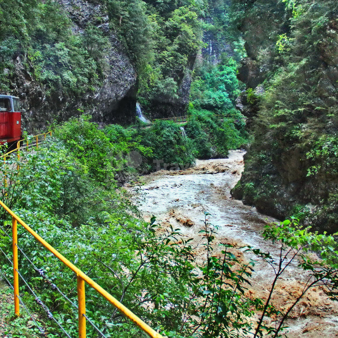 Гуамское ущелье геленджик фото