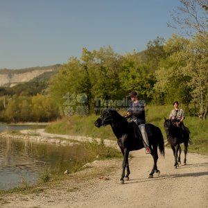 Прогулка на лошадях к озеру Церковному (1,5 часа)