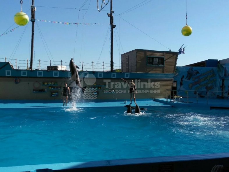 Галерея Дельфинарий Архипо-Осиповка #0