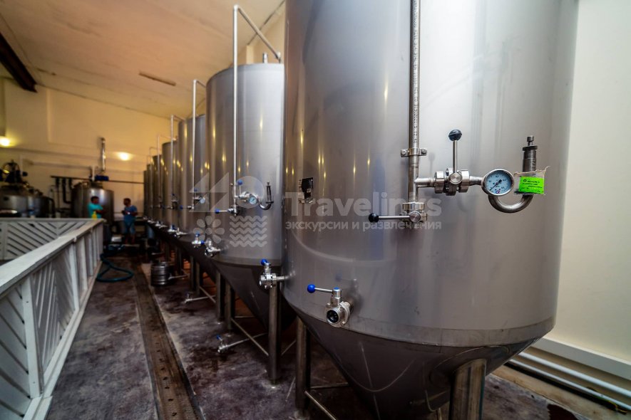 Галерея Экскурсия в «Возрождение» #0