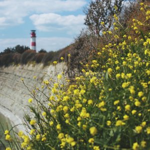 Галерея Дикий пляж «Круча» #4