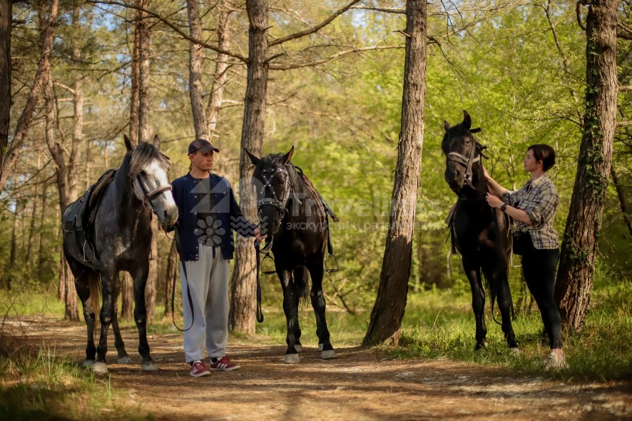 Галерея Прогулка на лошадях к озеру  (1 час) #2
