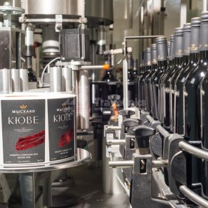 Галерея Экскурсия на винодельню Мысхако #3