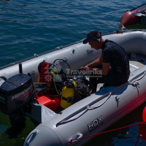 Галерея Дайвинг #1