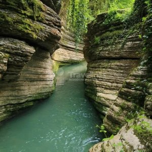 Галерея В Абхазию — Земной Рай #2