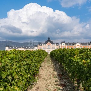 Шато де Талю (Chateau de Talu)