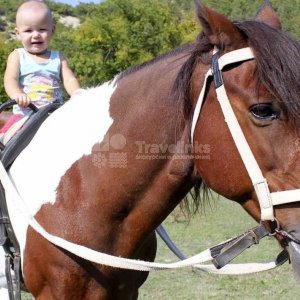 Галерея Конные прогулки в Прасковеевке #0