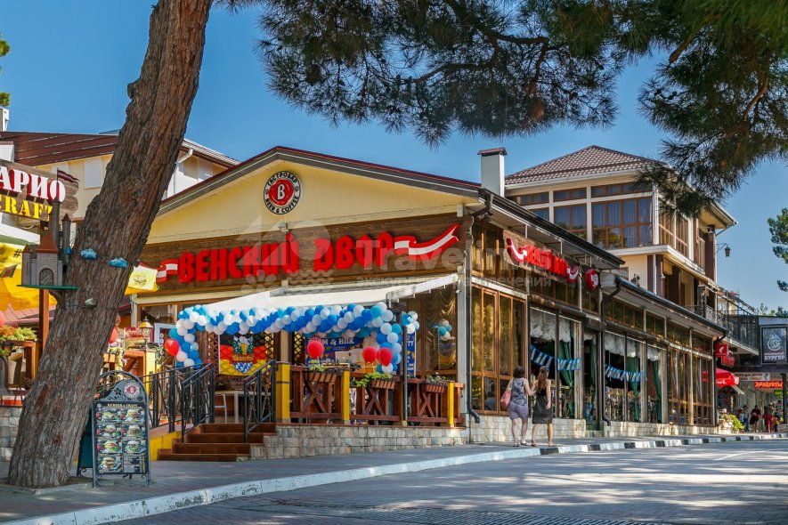 Венский двор