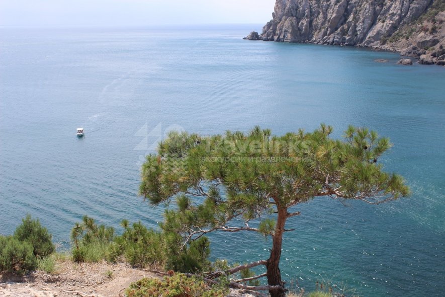 Можжевеловая роща Кабардинки