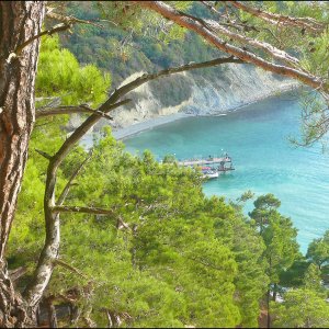 Галерея Джанхотский бор #3