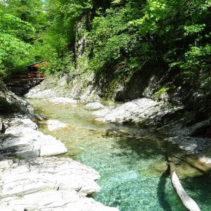 Галерея Шапсуга и Ромашковые бугры #1