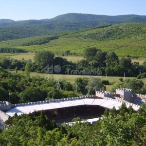 Замок «Львиная голова»