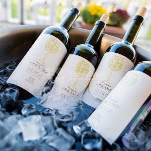 Один день по винодельням