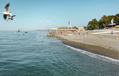 Пляж «Чайка»
