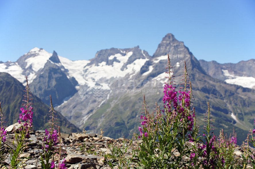 Галерея Домбай-Теберда-Архыз #0