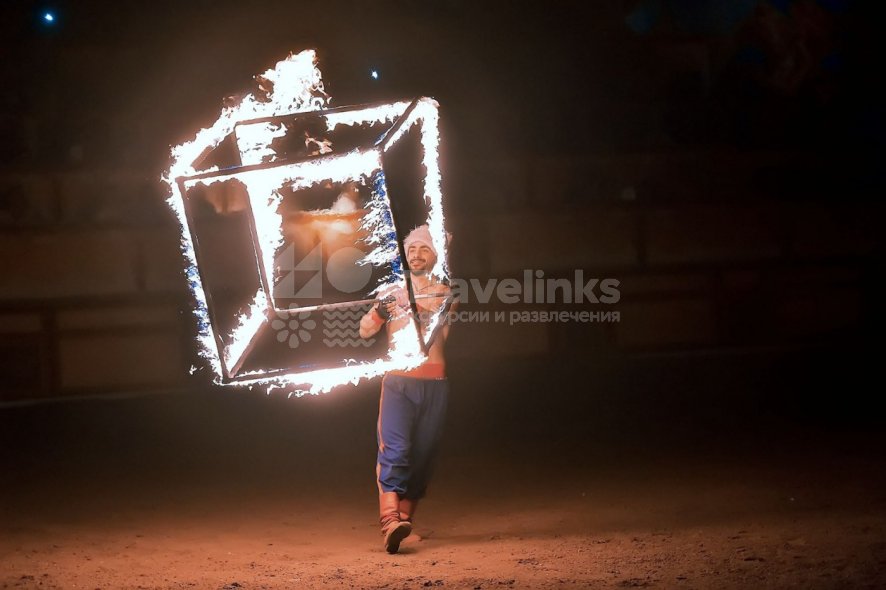 Галерея Свадьба в Малиновках #3