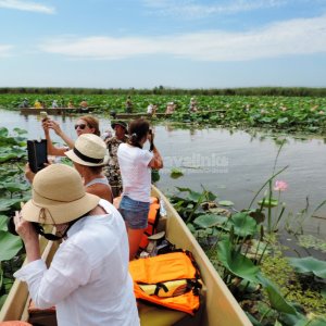 Галерея Долина лотосов на Тамани #3