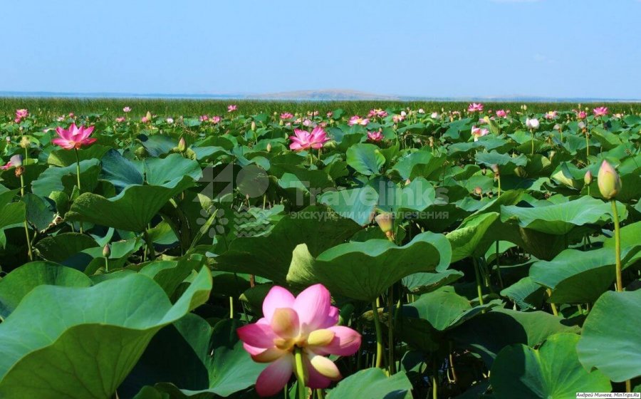 Галерея Лечебный пляж #2