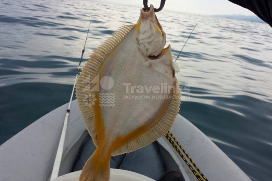 VIP-рыбалка в Анапе