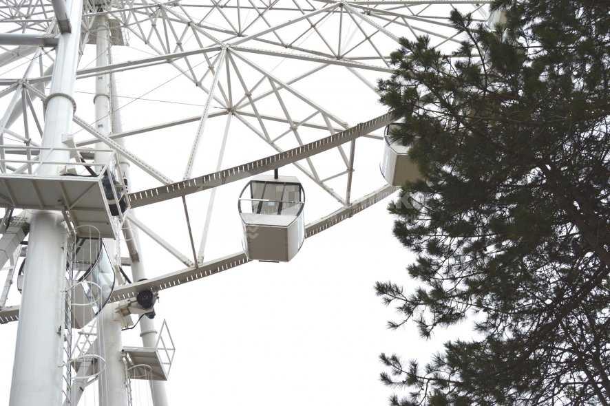 Галерея Детский парк «Джунгли» #2