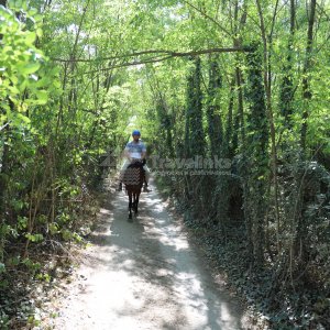 Галерея Прогулка на лошадях к озеру Церковному (1,5 часа) #2