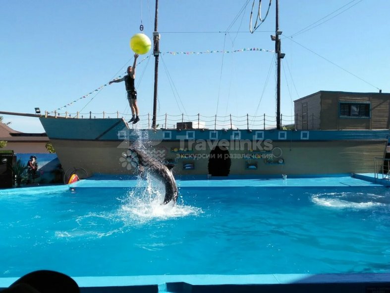 Галерея Дельфинарий Архипо-Осиповка #1