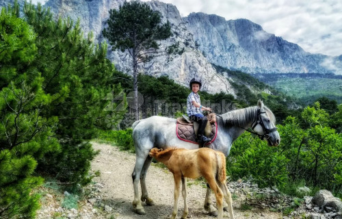 Конные прогулки