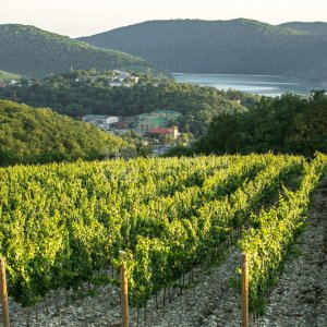 Авторская VIP-экскурсия в Абрау-Дюрсо