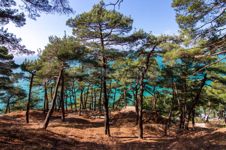 Галерея Голубая бездна #4