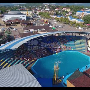 Галерея Дельфинарий в Архипо-Осиповке #1