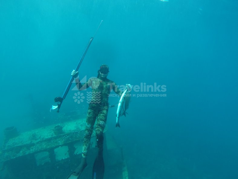 Подводная охота